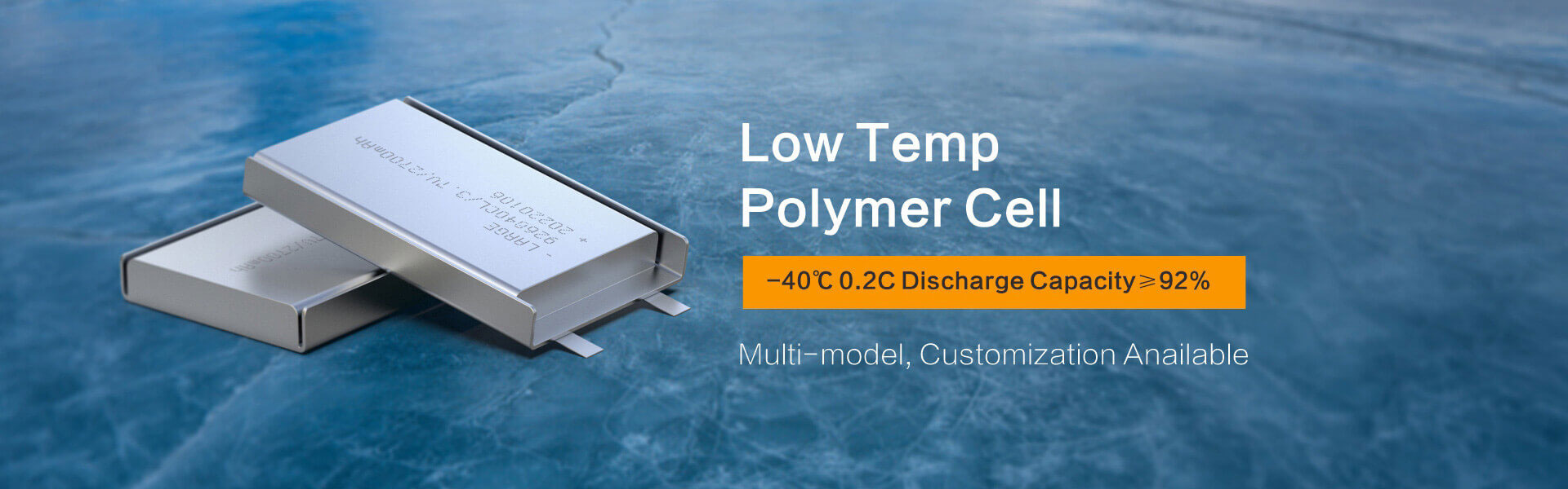 Low Temperature Polymer Cell